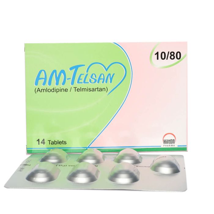 AM TELSAN 10/80 MG