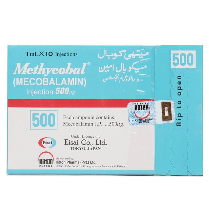 METHYCOBAL INJECTION